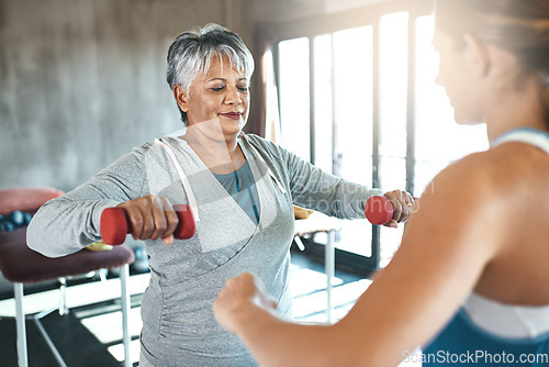 Image of Coaching, dumbbell and fitness with old woman and personal trainer for support, health or physiotherapy. Training, weightlifting and workout with senior client and female trainer for elderly exercise