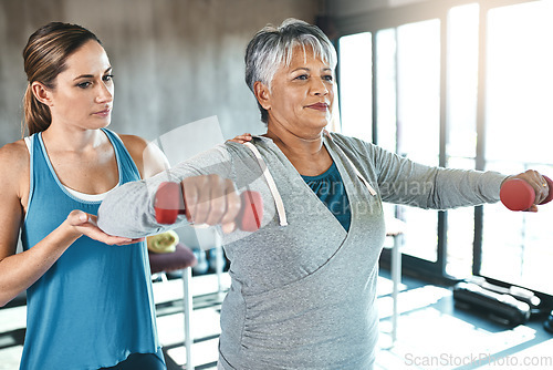 Image of Physical therapy, dumbbell and help with woman and personal trainer for support, health and physiotherapy. Training, weights and coaching with senior client, physiotherapist or rehabilitation workout