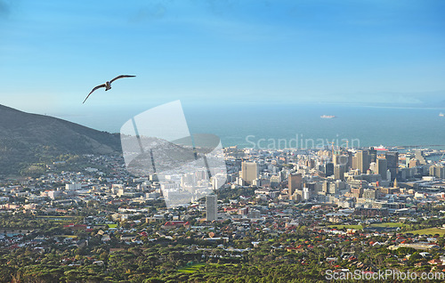 Image of City, mountains and urban buildings with architecture, infrastructure and development for property expansion. Skyline, cbd and mountain with cityscape, skyscraper and ocean with space in Cape Town