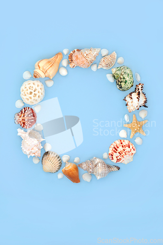 Image of Seashell Wreath Natural Seaside Art