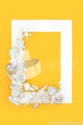 Image of White Seashell Background Abstract Border Design 