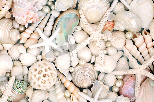 Image of Large Collection of Beautiful Seashells and Pearls 