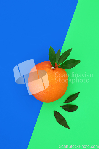 Image of Orange Citrus Fruit Healthy Food Abstract Design