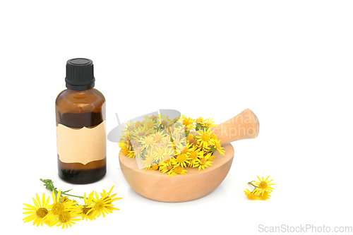 Image of Ragwort Flower Essence for Naturopathic Herbal Medicine 