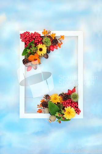 Image of Autumn Floral Nature Background Border Design  