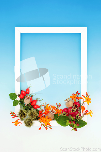 Image of Vivid Autumn Thanksgiving Festive Nature Background Frame