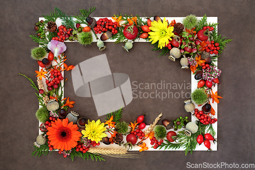 Image of Autumn Fall Samhain Harvest Festival Background Border