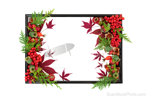 Image of Autumn Fall Thanksgiving Vivid Background Border Frame