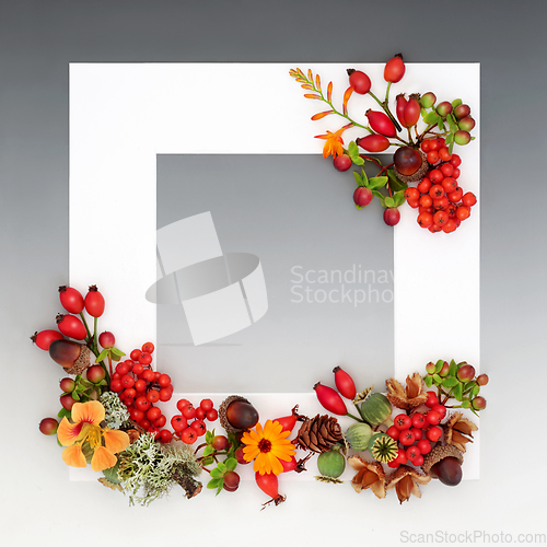 Image of Thanksgiving Day Floral Autumn Fall Background Border