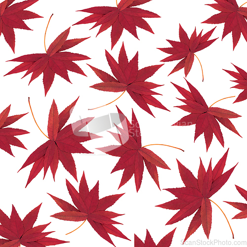 Image of Autumn Fall Falling Staghorn Sumac Leaves Background Pattern