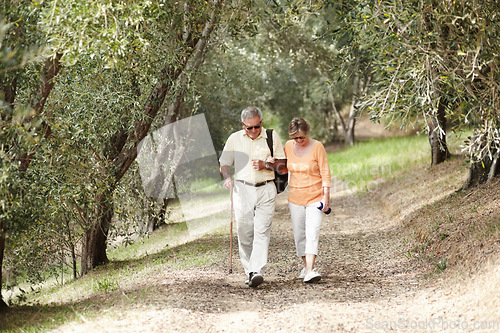 Image of Hiking, fitness and senior couple in forest walking for retirement exercise, wellness support and path in nature. Elderly people in woods for cardio, travel and carbon footprint journey or trekking