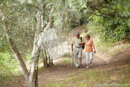 Image of Hiking, nature and senior couple for fitness, walking stick and retirement exercise, wellness support or path in forest. Elderly people in woods for cardio, travel and health journey or trekking