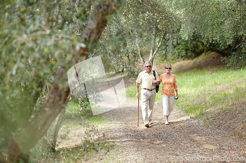 Image of Hiking, forest and senior couple with walking stick, fitness and retirement exercise, wellness support or path in nature. Elderly people in woods for cardio, eco travel and health journey or trekking