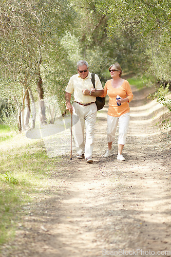 Image of Hiking, nature and senior couple with walking stick, fitness and retirement exercise, wellness support or path in forest. Elderly people in woods for cardio, eco travel and health journey or trekking