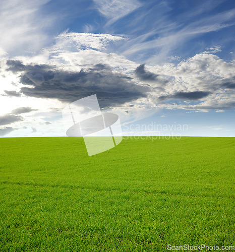 Image of Nature, clouds and hill with landscape of field for farm mockup space, environment and ecology. Plant, grass and horizon with countryside meadow for spring, agriculture and sustainability
