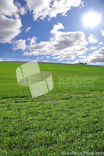 Image of Environment, clouds and blue sky with landscape of field for farm mockup space, nature and ecology. Plant, grass and horizon with countryside meadow for spring, agriculture and sustainability