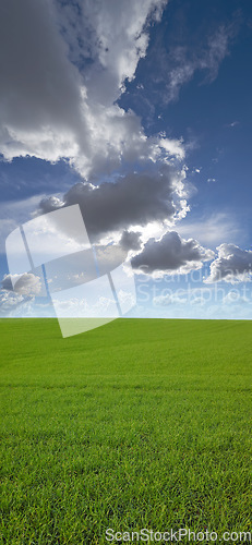 Image of Nature, clouds and environment with landscape of field for farm mockup space, hill and ecology. Plant, grass and horizon with countryside meadow for spring, agriculture and sustainability