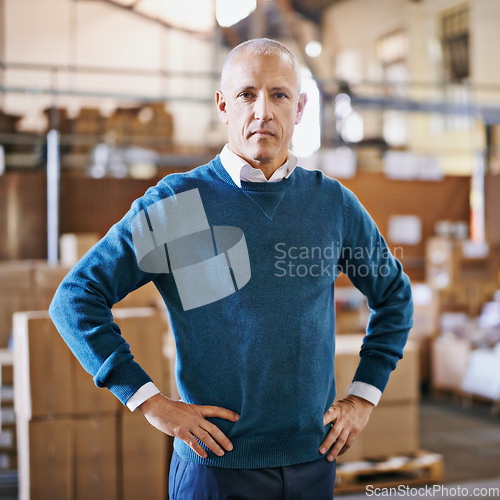 Image of Delivery, serious and portrait of man in warehouse for cargo, storage or shipping. Distribution, ecommerce and logistics with employee in factory plant for supply chain, package or wholesale supplier