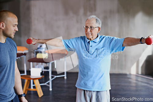 Image of Physiotherapist help, senior man and weight training for health and wellness therapy in retirement. Healthcare, physio and workout for recovery with a dumbbell for medical exercise and elderly person