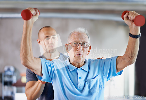 Image of Physiotherapist, senior man exercise and weight training for health and wellness therapy in retirement. Healthcare, physio and workout for recovery with dumbbell for medical excuse and elderly person