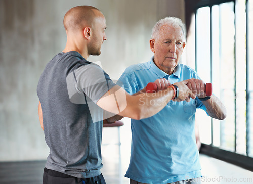 Image of Physiotherapist, senior man and weight workout for health and wellness therapy in retirement. Healthcare, physio and exercise for recovery with dumbbell for medical wellbeing and elderly male person