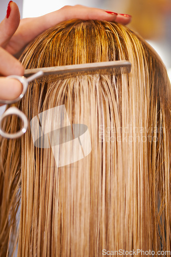 Image of Hair care, hairdresser scissors and hands of woman cut hairstyle, grooming and cleaning in beauty salon. Hairdressing studio, client service and back of closeup blonde person for healthy treatment