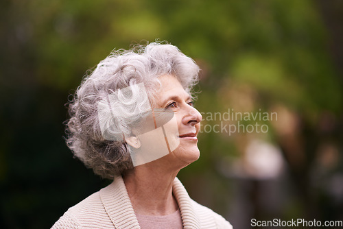 Image of Happy senior woman, relax and thinking in nature for hope, joy or retirement in the outdoors. Face of thoughtful elderly female with smile in happiness, wonder or dream for natural life or vitality