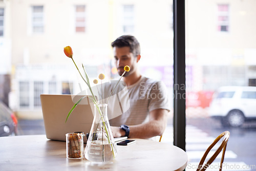 Image of Coffee shop, flower vase and man with laptop and plant doing code work in a cafe. Tech, interior and male freelancer customer at a restaurant with mockup and writing with focus on web coding