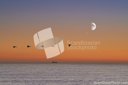 Image of Birds, sunset and sea at morning on the horizon with ocean and waves landscape. Sunrise background, calm weather and summer by the beach with coastline and outdoor environment with the moon in nature