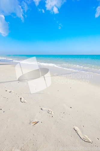 Image of Ocean, blue sky and landscape with beach sand and travel, waves and summer vacation outdoor in Hawaii. Environment, horizon and seaside location with tropical destination and journey on island