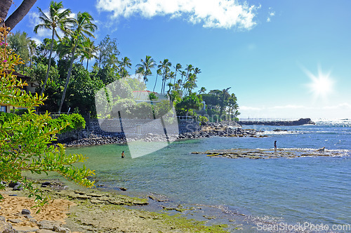 Image of Tropical sea, trees and sky by landscape with buildings, nature and beach with summer sunshine. Outdoor, Hawaii and natural ocean environment with palm tree, clouds and water by island with horizon