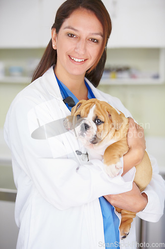 Image of Woman vet, puppy and clinic portrait with smile, care and love for health, wellness or growth. Female veterinarian, doctor and dog with hug, happiness and healthcare in hospital for medical attention