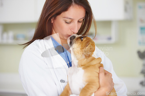 Image of Woman vet, puppy and kiss in hospital, care and love for health, wellness or growth of animal. Female veterinarian, doctor and dog with hug, happiness and healthcare in clinic for medical attention