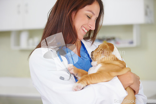 Image of Woman vet, puppy and animal hospital with smile, care and love for health, wellness or growth. Female veterinarian, doctor and dog with hug, happiness and healthcare in clinic for medical attention