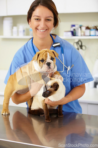 Image of Portrait, vet and woman with animals, clinic and care with help, care and support with a smile, charity work and empathy. Face, female person or veterinarian with a cat, bulldog and medical treatment