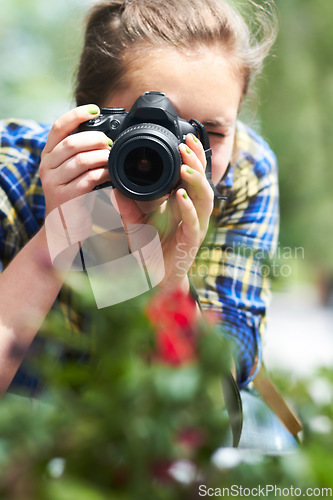 Image of Woman, camera and photography in nature for flower, plant and growth in garden, park and summer sunshine. Girl, photographer and travel in countryside with red flowers, memory and outdoor with leaves