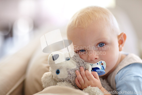 Image of Cute, relax and portrait of a baby with a toy for comfort, sleep and playing in a house. Adorable, pacifier and a little child with a bear on the living room sofa for calm, relaxing and play