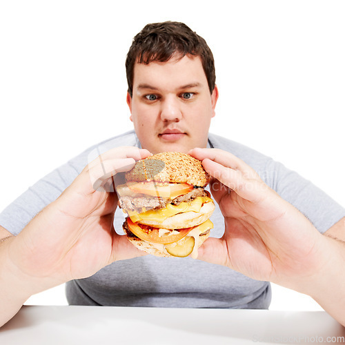 Image of Plus sized, eating and man holding burger, unhealthy diet and isolated hungry person and white background. Junk food, weight loss and healthcare problem, male with bad food addiction in studio.