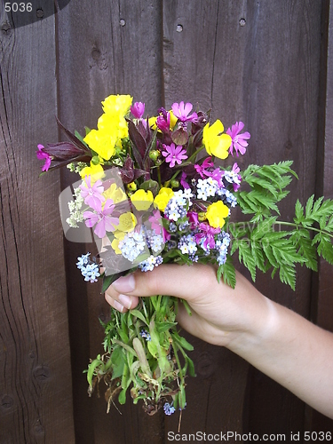Image of Flower