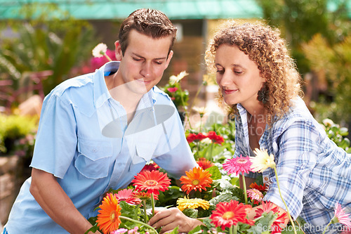 Image of Garden, greenhouse flower and couple with plant shopping and choice with gardening. Floral, spring sale and woman with a man together with daisies purchase for backyard with a smile at outdoor shop