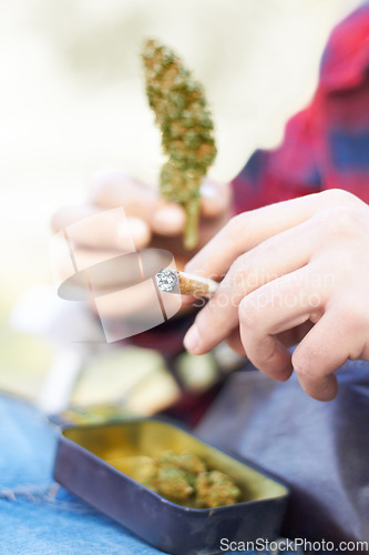 Image of Marijuana, bud or hands with weed blunt for calm peace to relax or help reduce pain, stress or anxiety. Cannabis head plants, smoking or closeup of person showing a joint for mental health benefits