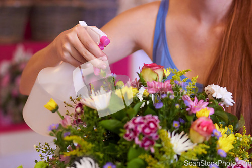 Image of Flowers, spray water and woman florist with bouquet in store for order, floral gift and service. Spring, nature and female person spraying flower arrangement for moisture, healthy plants and bloom