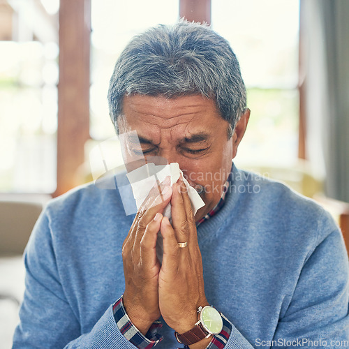 Image of Senior man, sick and nose blowing in home from virus, allergy and illness with fever Tired, tissue and elderly male person in a house lounge with sneeze from covid and flu with hayfever allergies