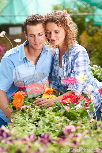 Image of Garden love, greenhouse flower and couple with plant shopping and choice with gardening. Floral, spring sale and woman with a man together with daisies purchase for backyard with a smile at shop