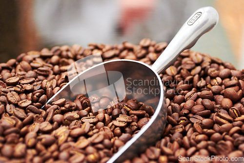 Image of Coffee beans, dark roast and premium scoop in cafe, restaurant or shop with product. Espresso, store and caffeine blend in a luxury, organic and retail grocer with fresh and raw blend of produce