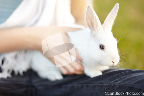 Image of Playing, hands and a child with a rabbit in nature for bonding, touching and relax. Care, cute and a girl or person with a pet animal in a garden or backyard for fun and holding in childhood