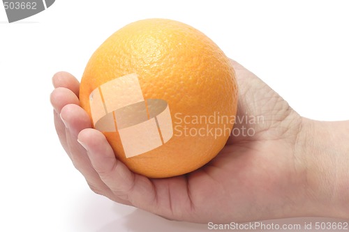 Image of Orange