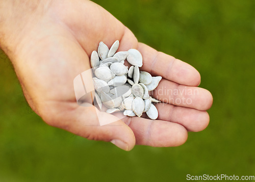 Image of Above, nature and closeup of hands with seeds for plants, gardening or ecology. Sustainability, show and seedlings for growth of vegetables in a palm for food, sustainable and eco friendly in garden