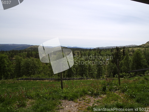 Image of 
