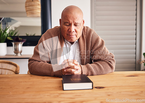 Image of Bible book, praying or old man for holy worship, support or hope in Christianity faith in retirement. Prayer, gospel or catholic senior person studying, reading or learning God in spiritual religion